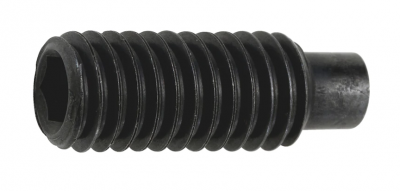 Винт М20 DIN 915 стальной 45 Н без покрытия